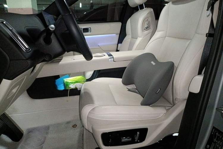 Used Li Auto L7 2024 MAX Model Left Front Seat