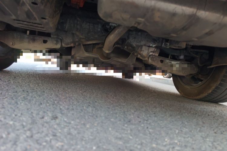 Used Li Auto L7 2024 Pro Model Chassis Rear