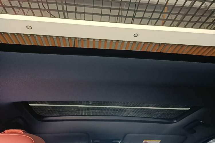 Used Li Auto L7 2024 MAX Model Headliner