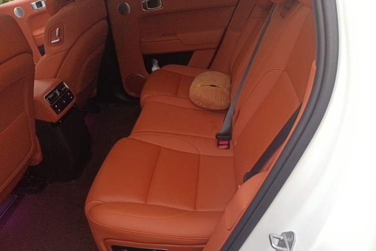 Used Li Auto L7 2024 MAX Model Left Rear Seat