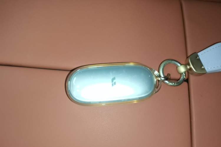 Used Li Auto L7 2024 MAX Model Vehicle Key