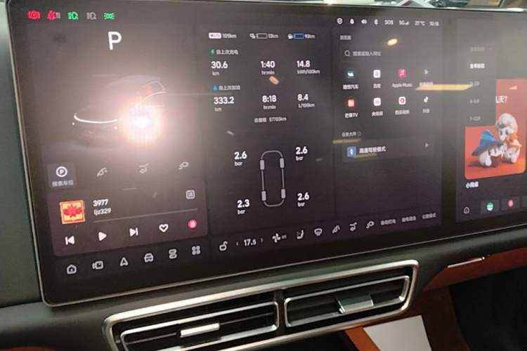 Used Li Auto L8 2023 Pro Model Audio And AC Panel