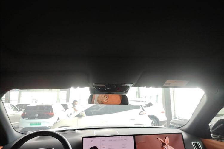 Used Li Auto L8 2023 Pro Model Headliner