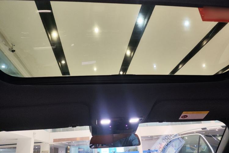Used Li Auto L8 2023 Max model Headliner