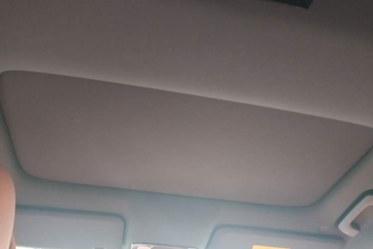Used Li Auto L8 2023 Pro Model Headliner