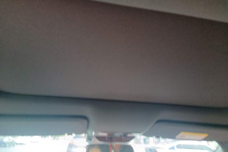Used Li Auto L8 2023 Pro Model Headliner