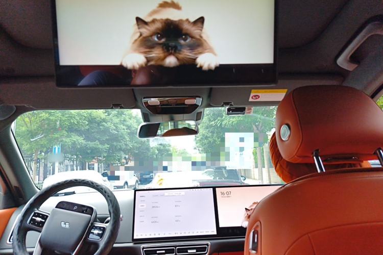 Used Li Auto L8 2023 Pro Model Headliner