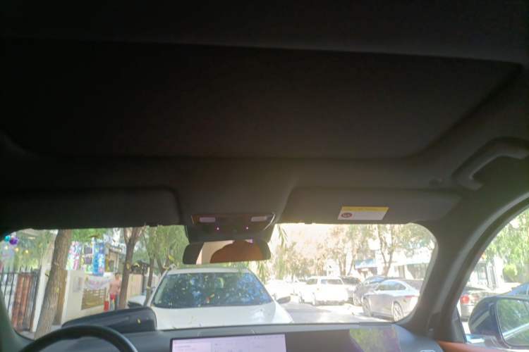 Used Li Auto L8 2023 Pro Model Headliner