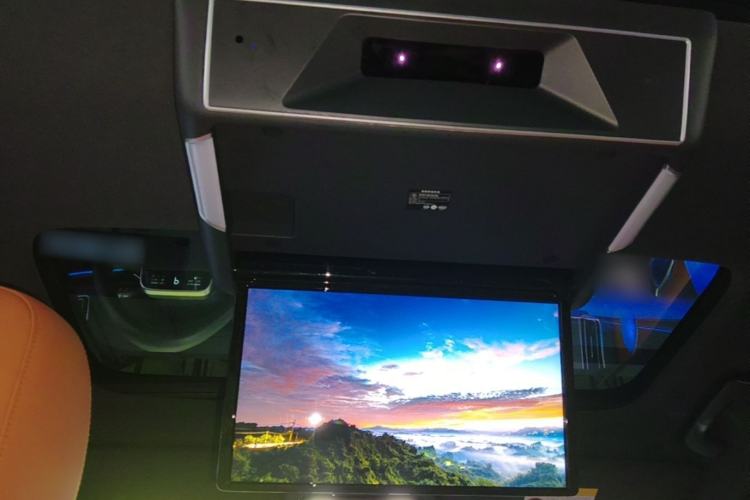 Used Li Auto L8 2023 Pro Model Headliner