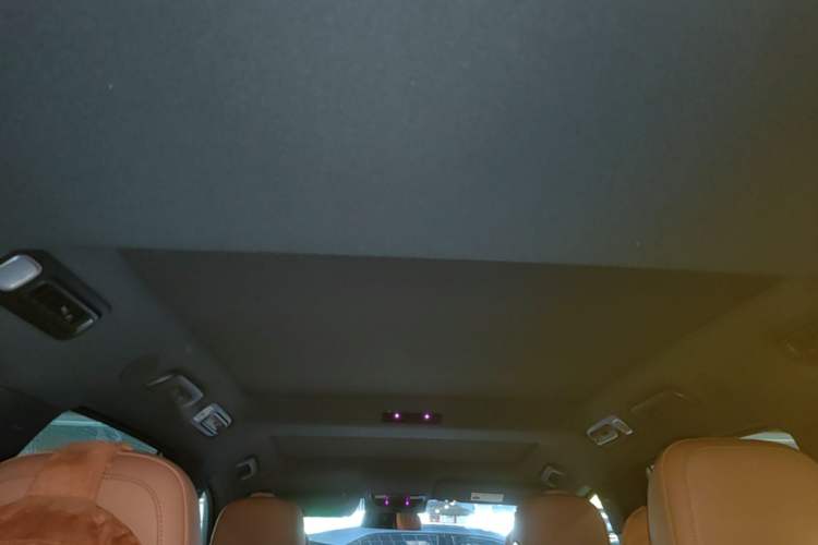 Used Li Auto L8 2023 Pro Model Headliner
