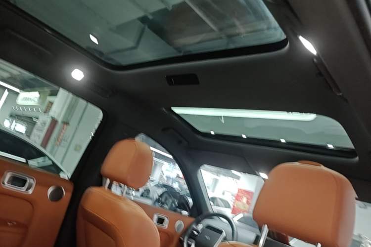 Used Li Auto L8 2023 Pro Model Headliner