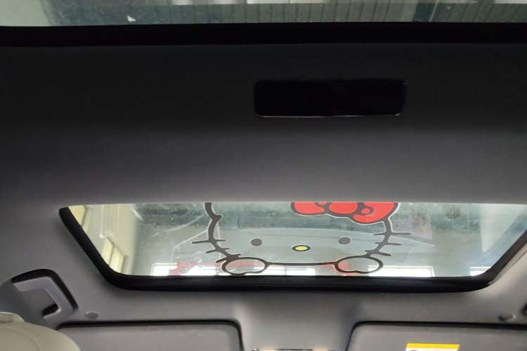 Used Li Auto L8 2023 Pro Model Headliner