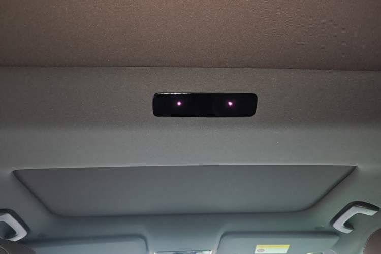 Used Li Auto L8 2023 Pro Model Headliner