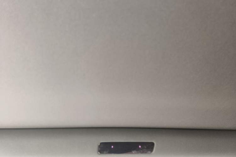 Used Li Auto L8 2023 Pro Model Headliner