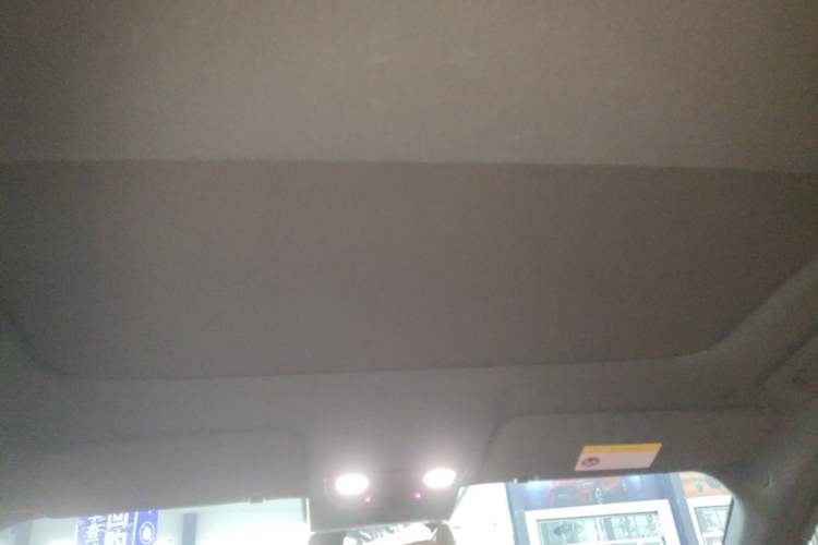 Used Li Auto L8 2023 Pro Model Headliner