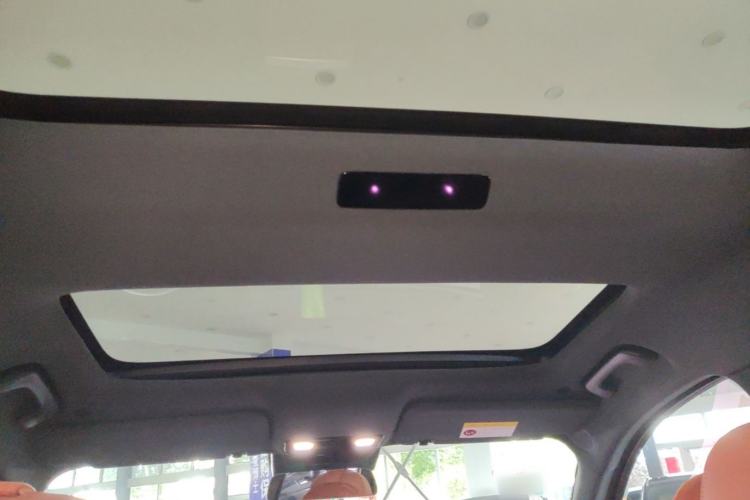 Used Li Auto L8 2023 Pro Model Headliner