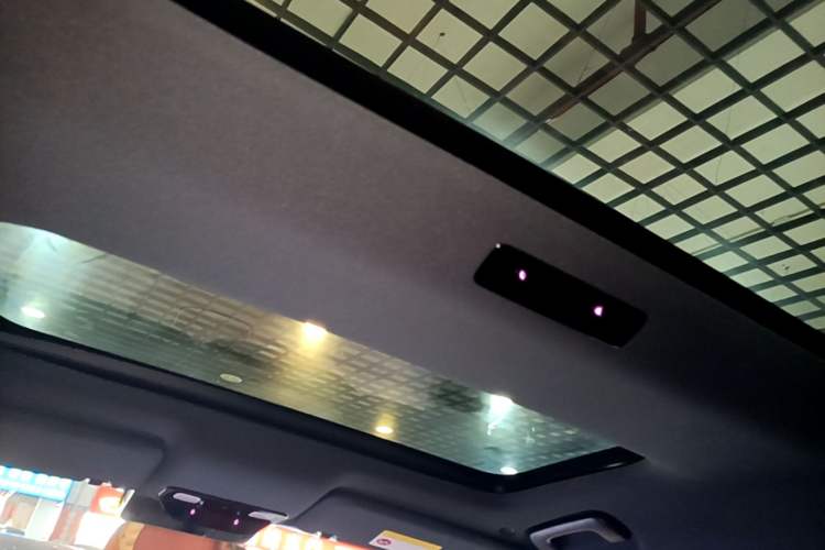 Used Li Auto L8 2023 Pro Model Headliner