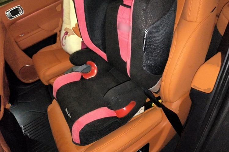 Used Li Auto L8 2023 Pro Model Left Rear Seat