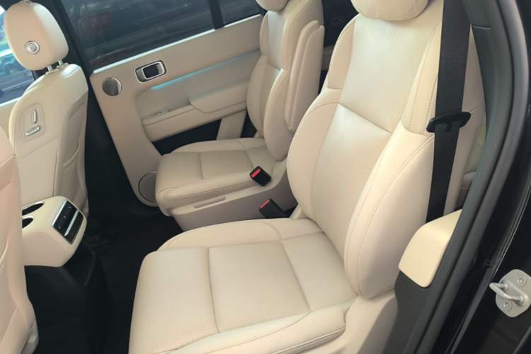 Used Li Auto L8 2023 Pro Model Left Rear Seat