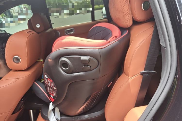 Used Li Auto L8 2023 Max model Left Rear Seat