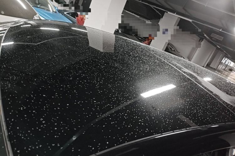 Used Li Auto L8 2023 Pro Model Roof