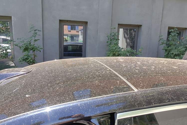 Used Li Auto L8 2023 Max model Roof