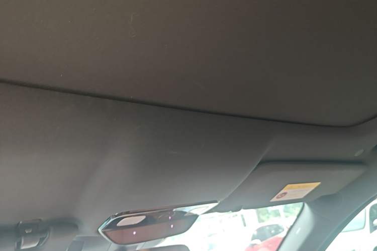 Used Li Auto L8 2023 Pro Model Headliner
