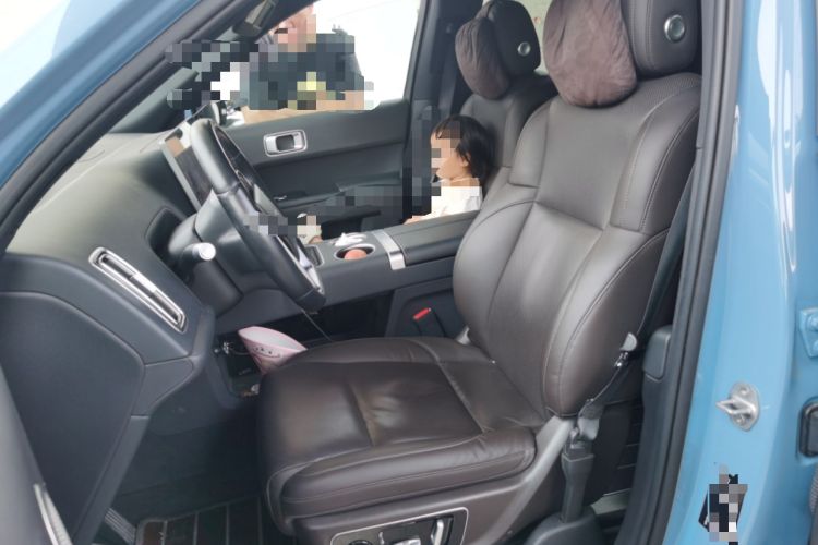 Used Li Auto L8 2023 Max model Left Front Seat