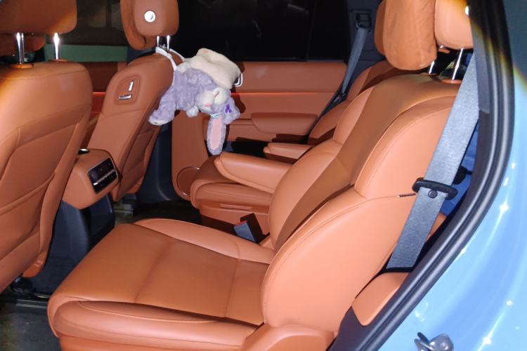 Used Li Auto L8 2023 Max model Left Rear Seat