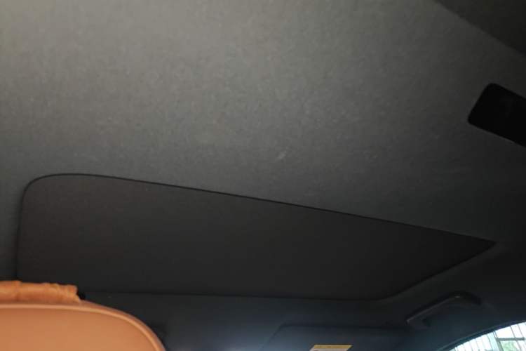 Used Li Auto L8 2023 Pro Model Headliner