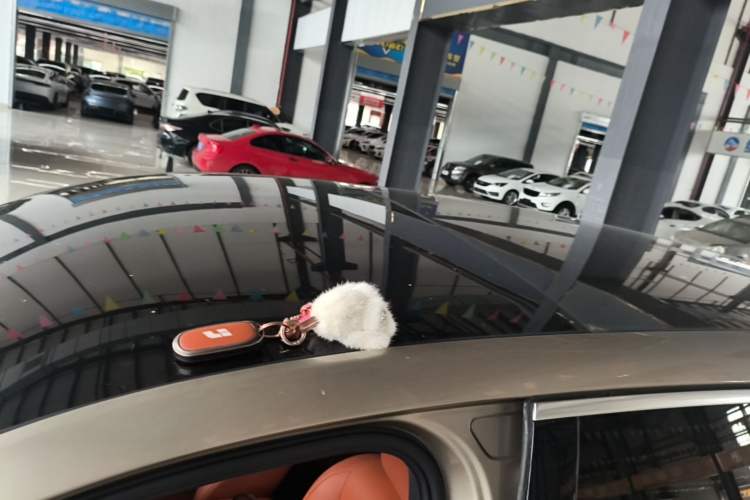 Used Li Auto L8 2023 Pro Model Roof
