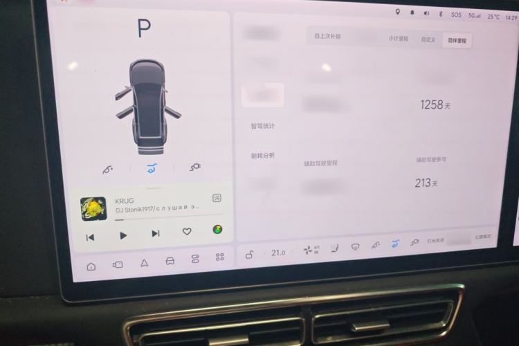 Used Li Auto L8 2023 Pro Model Audio And AC Panel