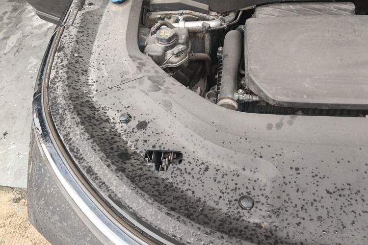 Used Li Auto L8 2023 Pro Model Engine Bay Right
