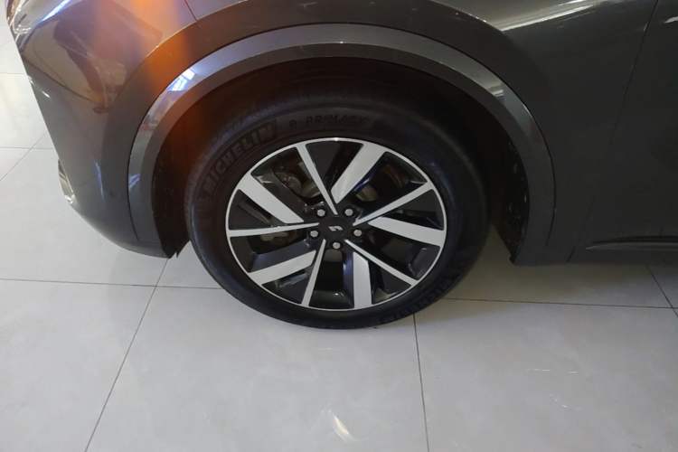 Used Li Auto L8 2023 Pro Model Exterior 4
