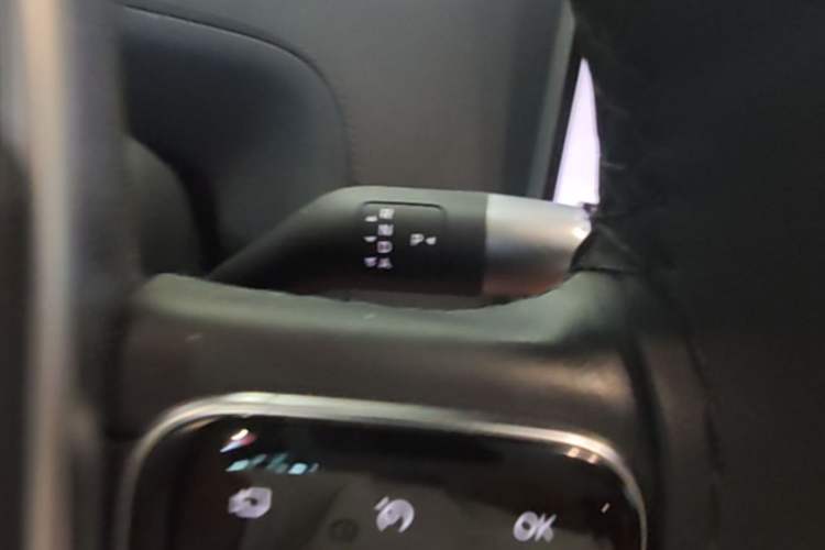 Used Li Auto L8 2023 Air model Gear Lever