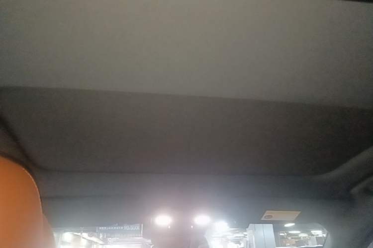 Used Li Auto L8 2023 Pro Model Headliner