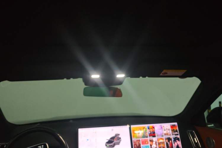 Used Li Auto L8 2023 Pro Model Headliner