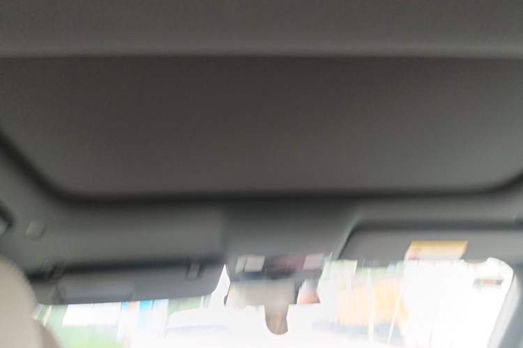 Used Li Auto L8 2023 Pro Model Headliner
