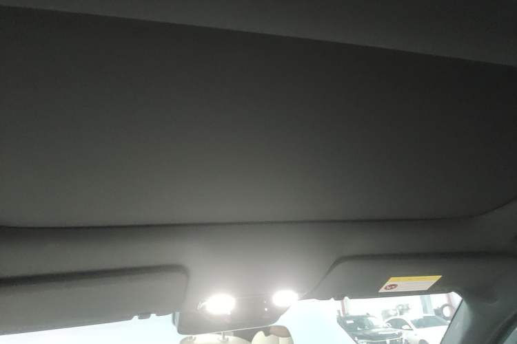 Used Li Auto L8 2023 Pro Model Headliner