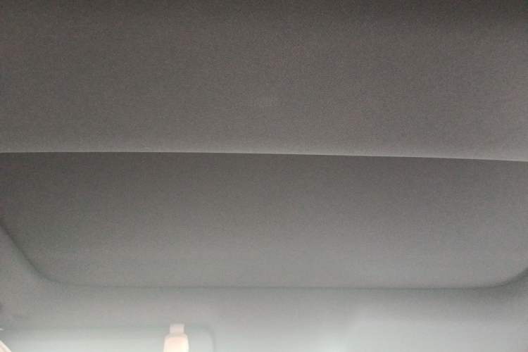 Used Li Auto L8 2023 Pro Model Headliner