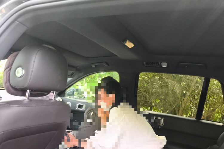 Used Li Auto L8 2023 Pro Model Headliner