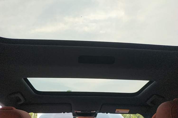 Used Li Auto L8 2023 Pro Model Headliner