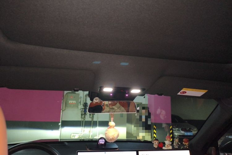 Used Li Auto L8 2023 Pro Model Headliner
