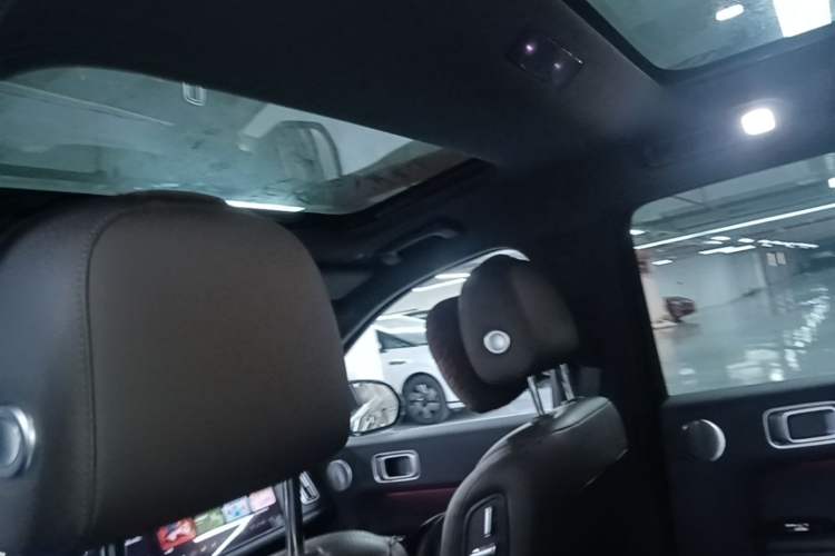 Used Li Auto L8 2023 Pro Model Headliner