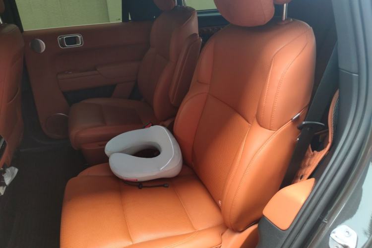 Used Li Auto L8 2023 Pro Model Left Rear Seat