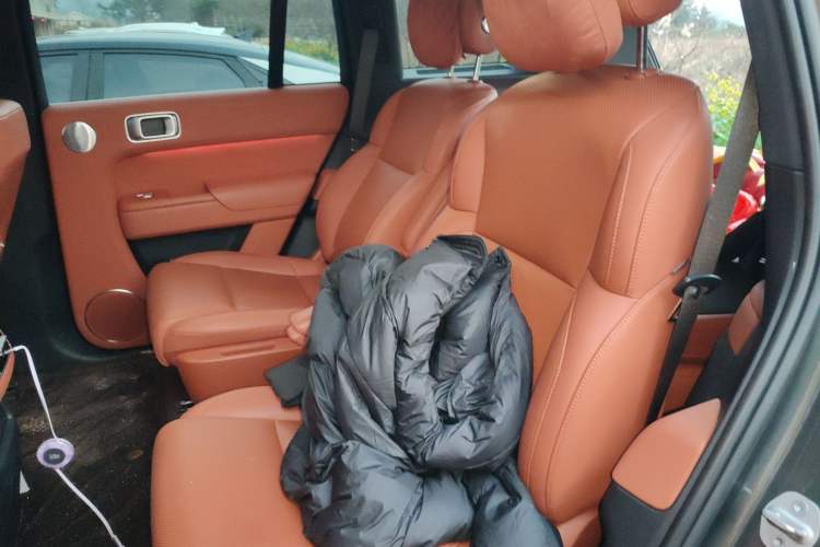Used Li Auto L8 2023 Pro Model Left Rear Seat