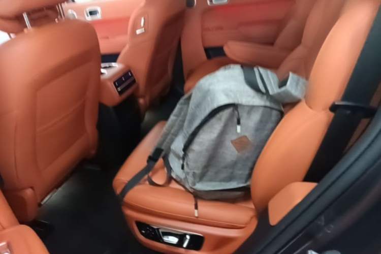 Used Li Auto L8 2023 Air model Left Rear Seat