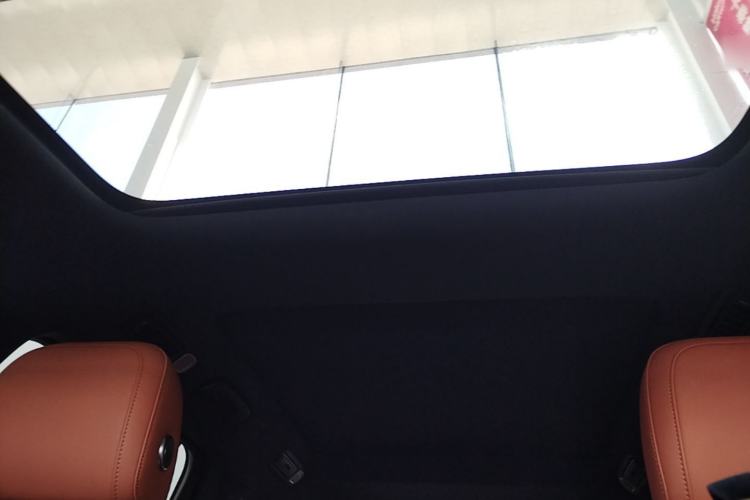 Used Li Auto L8 2023 Pro Model Headliner
