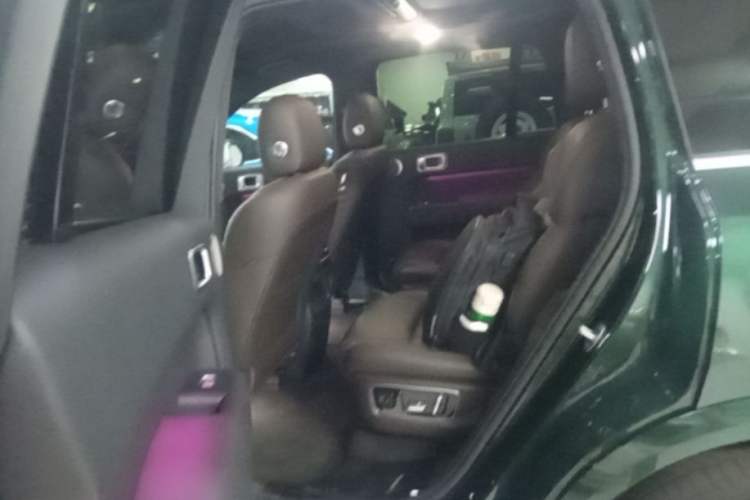 Used Li Auto L8 2023 Max model Left Rear Seat