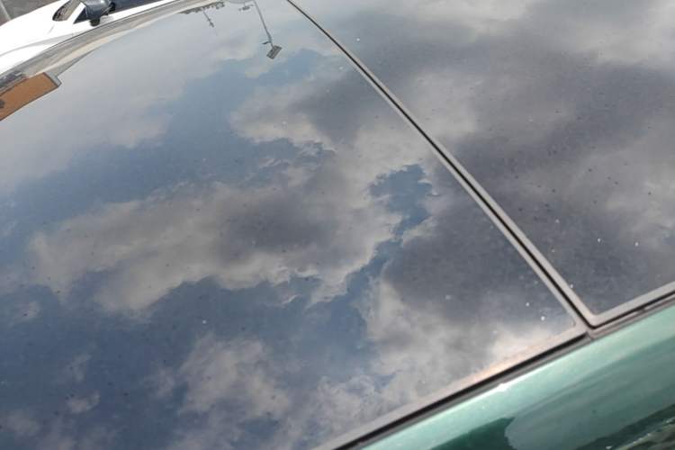 Used Li Auto L8 2023 Pro Model Roof